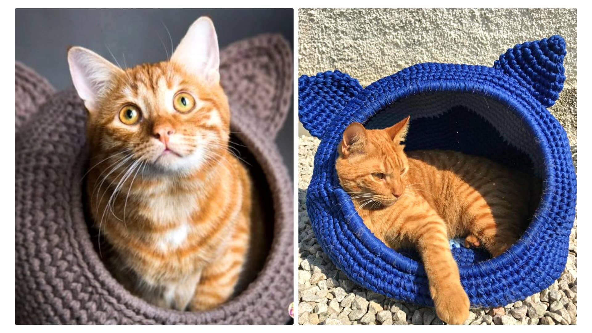 Toca para Gatos com Fio De Malha: Tutorial e Inspirações