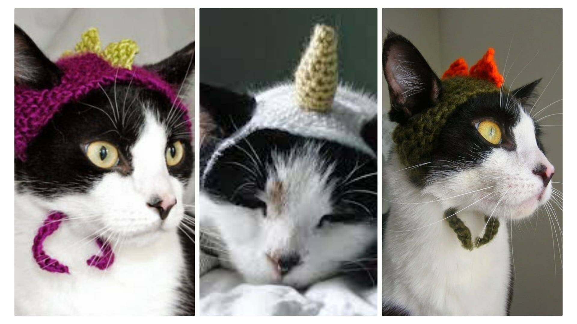 Touca para Gatos em Crochê: Passo a Passo Com Fotos