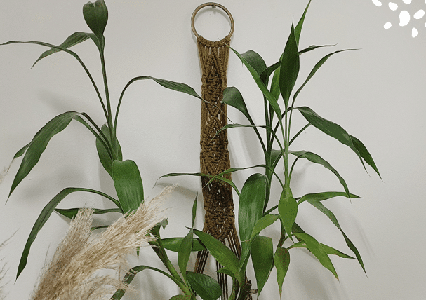 Suporte para vasos – Hanger MACRAMÊ o decor ideal para sua casa!