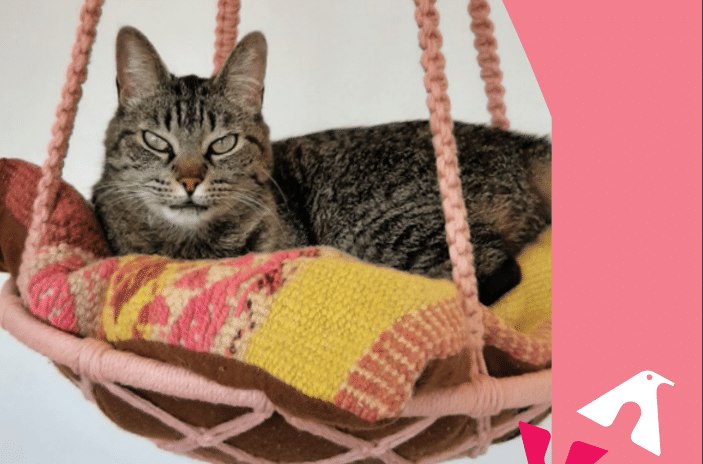 Caminha Suspensa Para Gatos em Macramê 