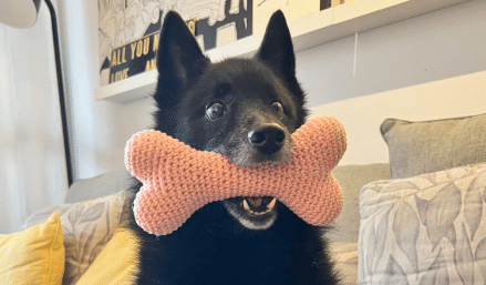 Amigurumi De Osso: Um lindo presente para Seu Pet