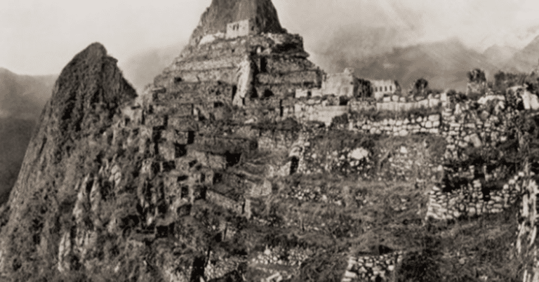 Macramê: A História que não contam