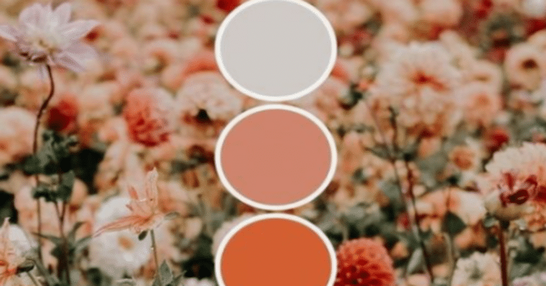 Como escolher a Paleta de cores do Seu Crochê