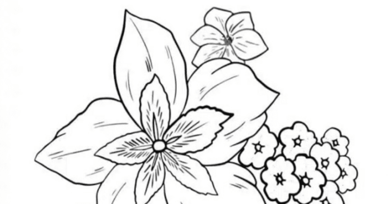 Desenhos para Colorir: Vários PNG Grátis, Confira!