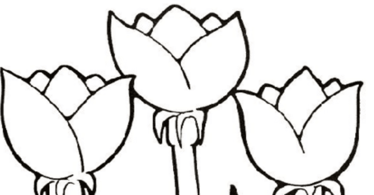 Desenhos Grátis para Colorir: 8 PDFs para você!