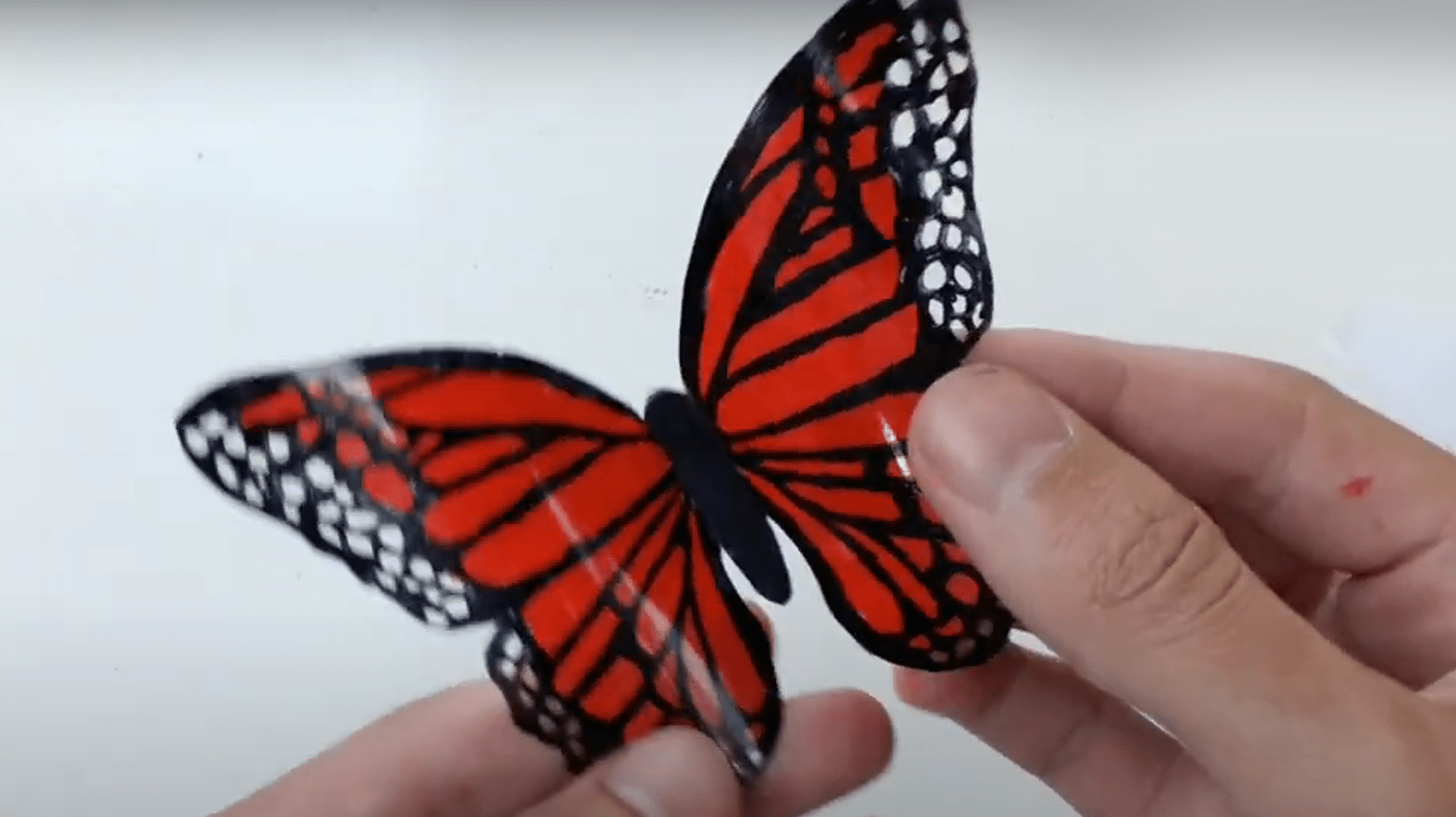 Aprenda a Fazer uma Borboleta Feita com Garrafa PET: Um Guia Passo a Passo