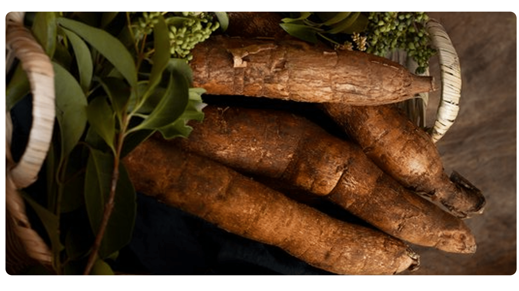 Mandioca: O Super Alimento do Século 21