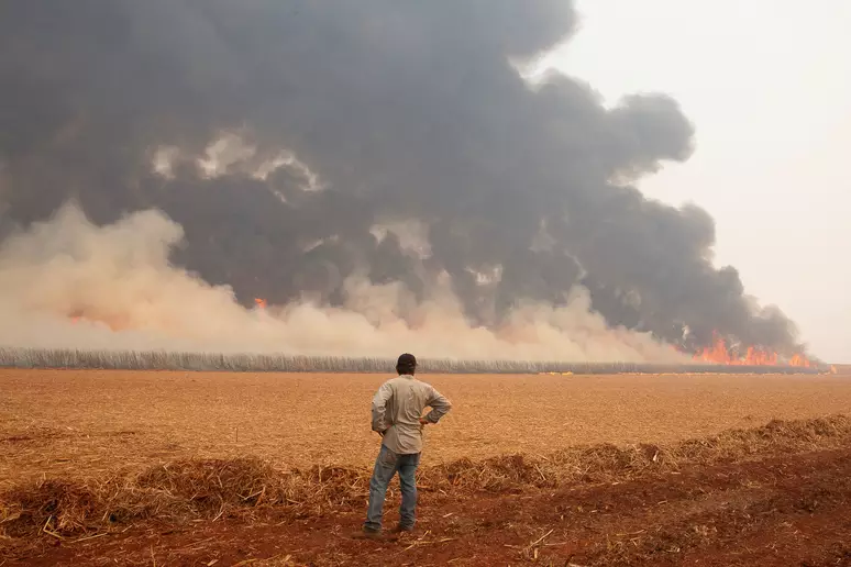 Seca Extrema em SP: Estado Enfrenta uma das Piores Secas dos últimos Anos
