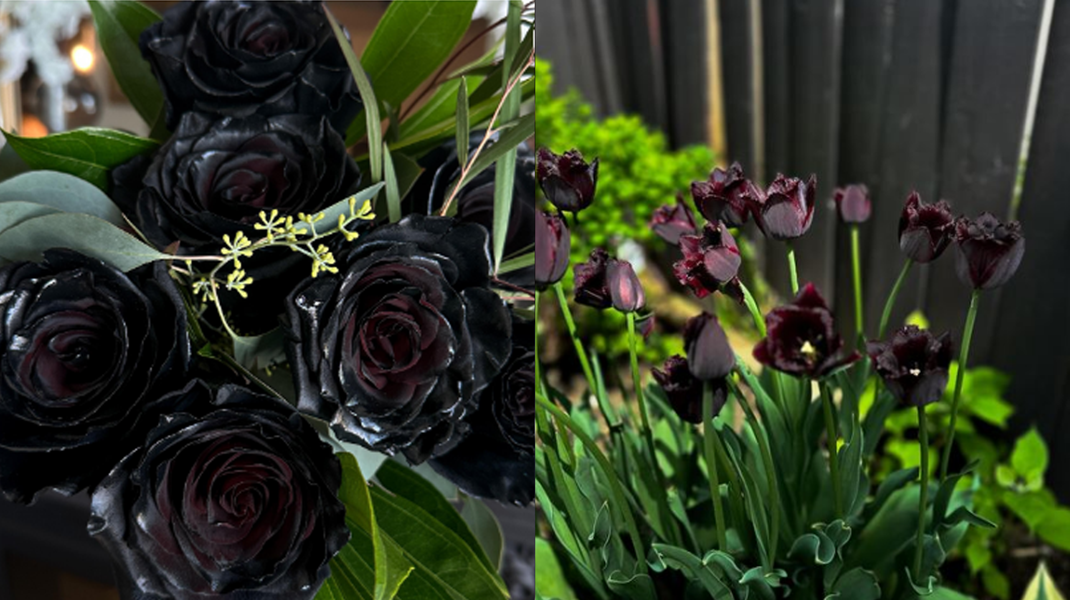 Você Precisa Conhecer Esse Jardim Gótico: Uma Novidade que Pode Bombar!