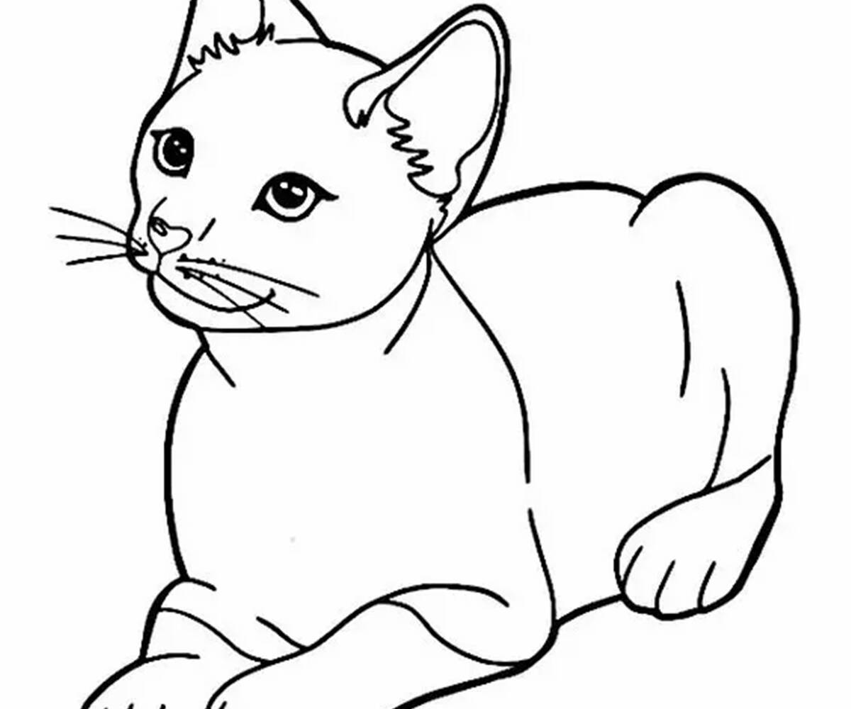 Criando Moldes de Gato para Imprimir: Guia Definitivo