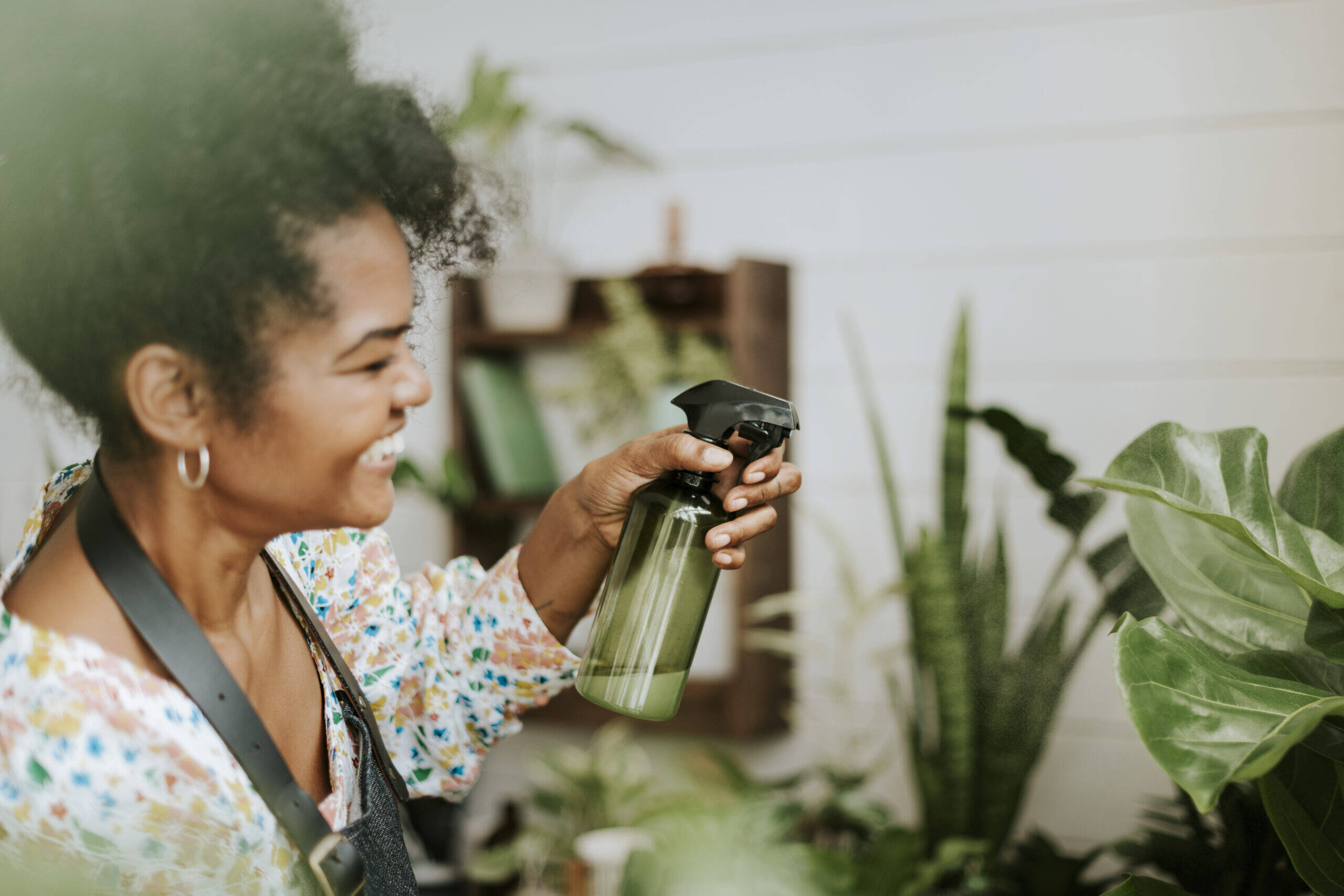 Coloquei Produto Caseiro Nas Minhas Plantas e Agora Elas Estão LINDAS Como Nunca Antes Visto Aqui Em Casa