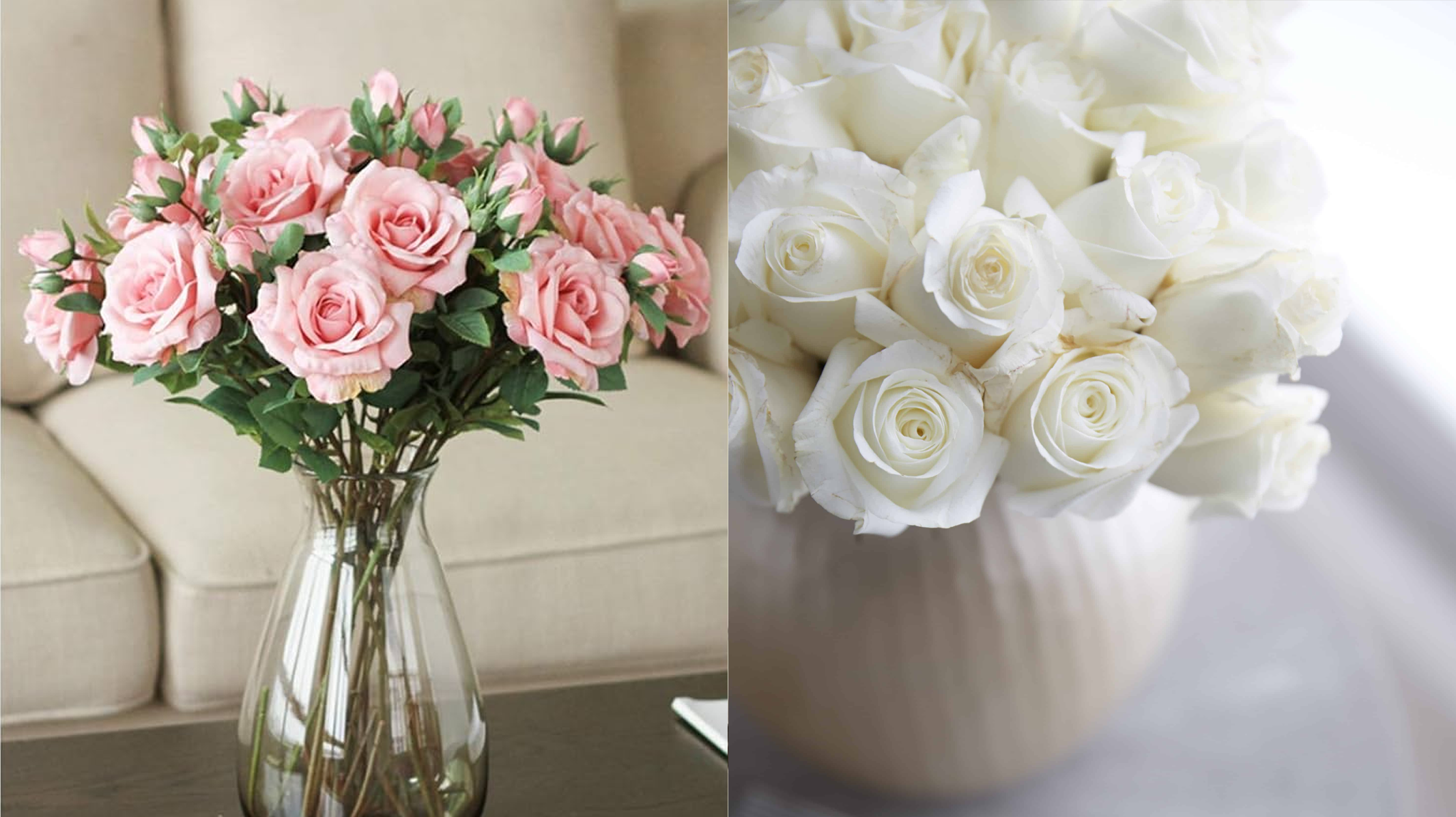 Como Cultivar Rosas em Casa de Forma Profissional