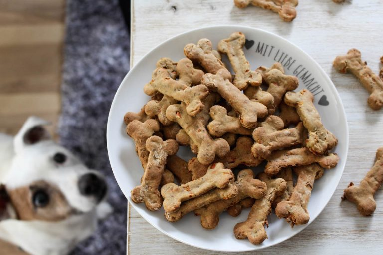 Confira 3 Receitas Fáceis de Petiscos Caseiros para seu Pet!