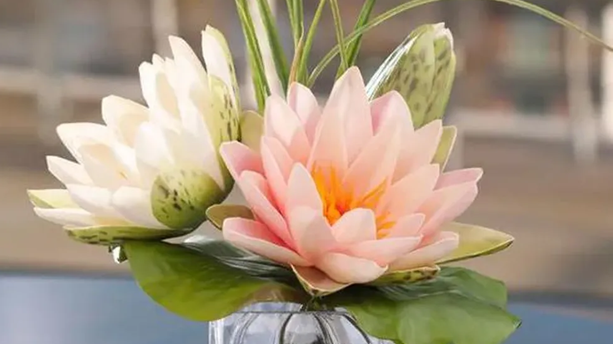 Flor de Lótus: Como Cultivar em Casa e Quais Seus Benefícios!