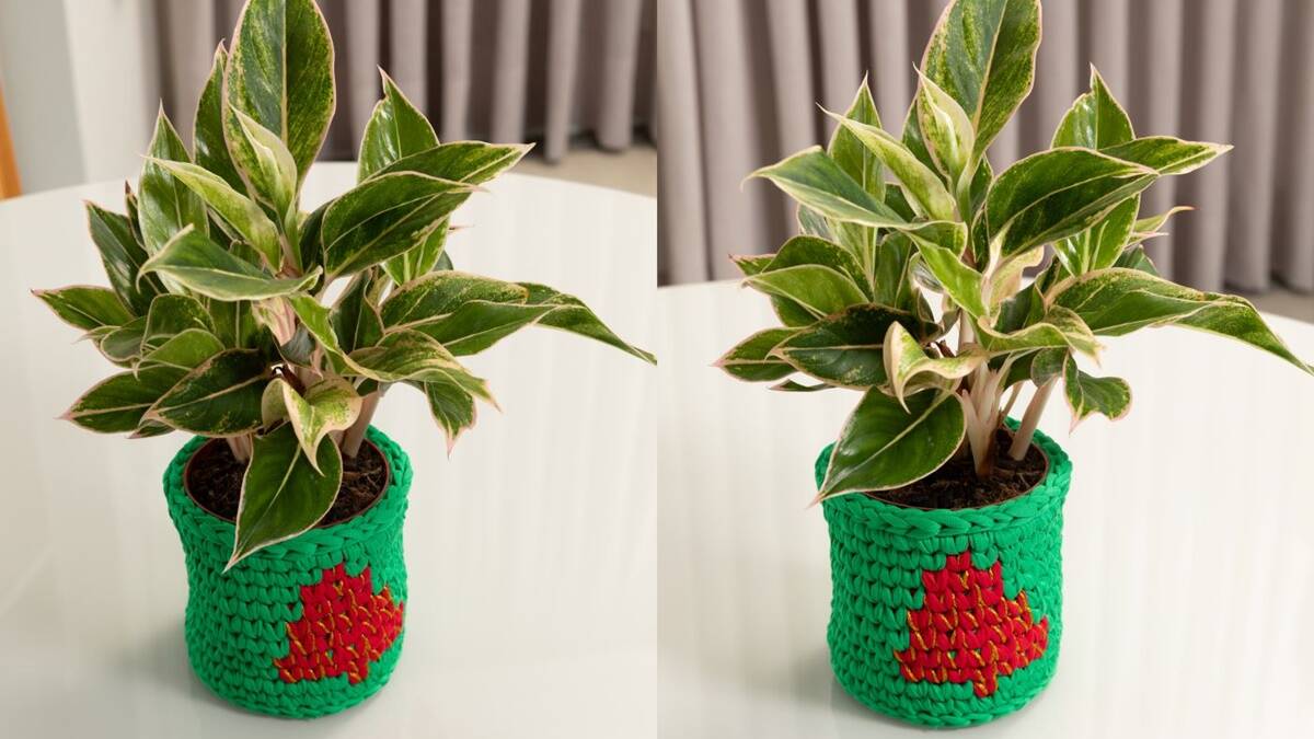 Cesto de Crochê: Um Detalhe Lindo para Sua Decoração!