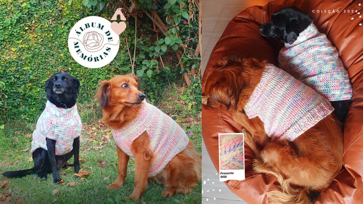 Roupinha de Pet em Crochê Topdown: Como Fazer a Sua?