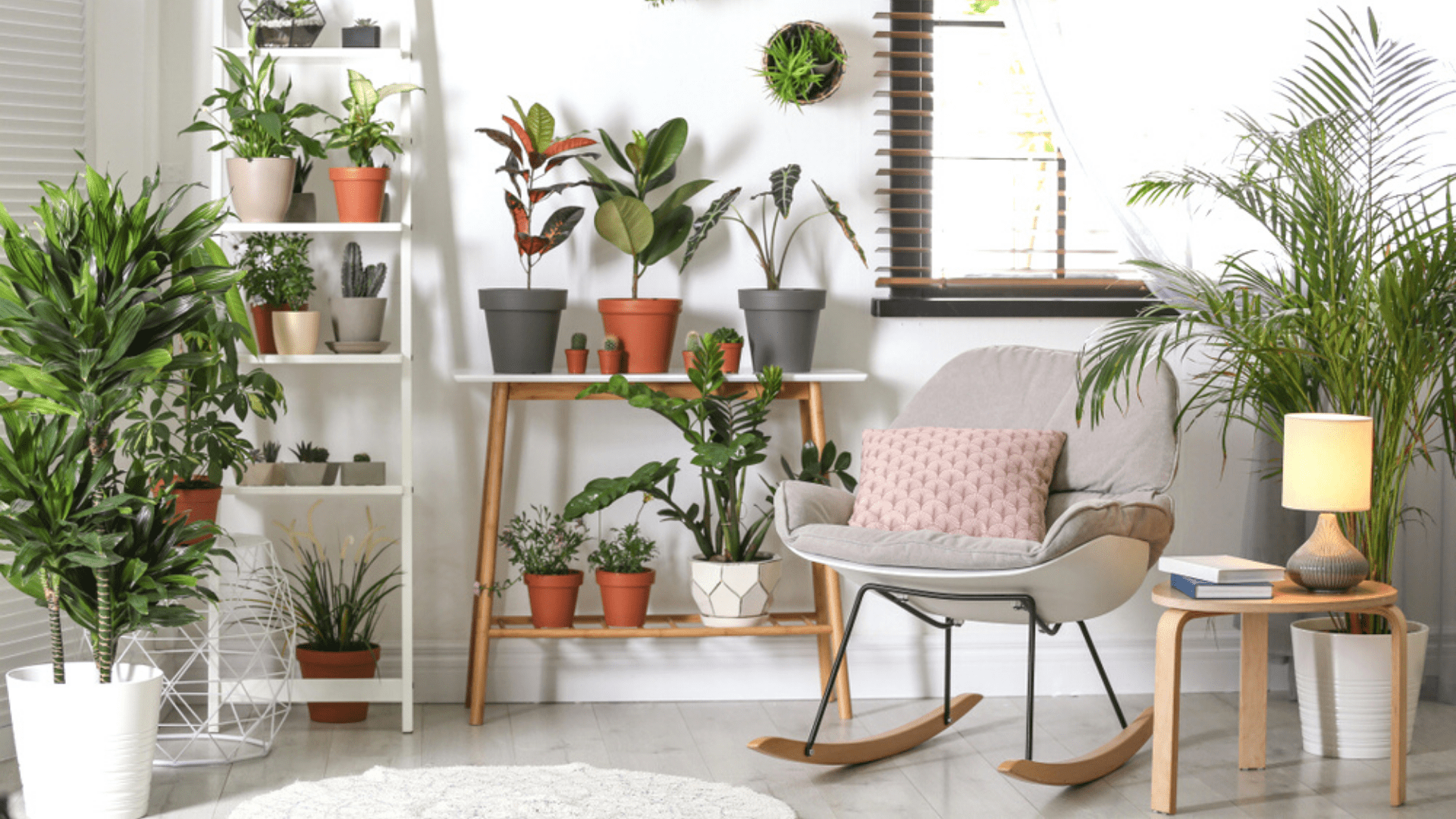 7 Plantas que Não Precisam de Sol e Podem Ser Cultivadas em Casa