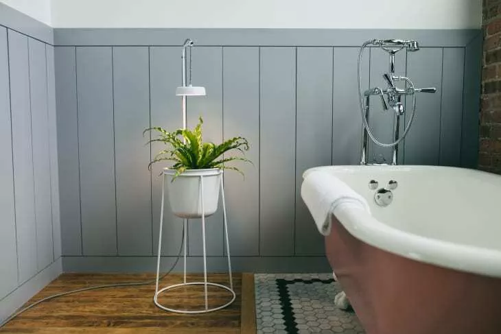 Este suporte para plantas é essencial para quem tem pouca luz natural em casa