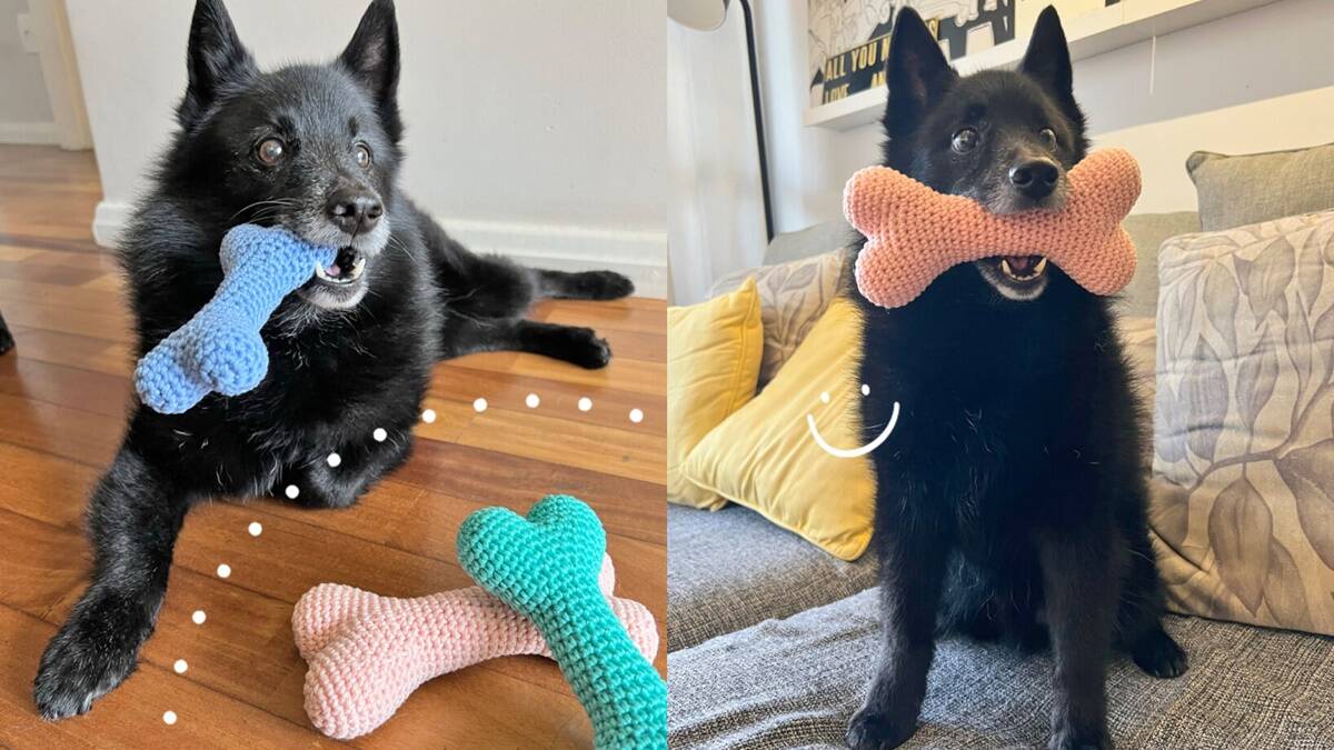 Amigurumi de Osso para Pets: O Presente Perfeito para Eles!