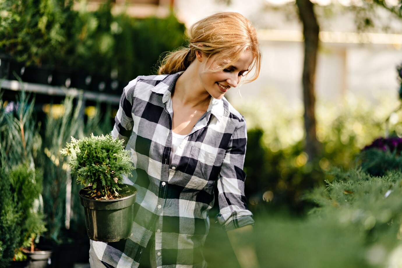 10 Plantas Perfeitas para Iniciantes no Cultivo de Jardins