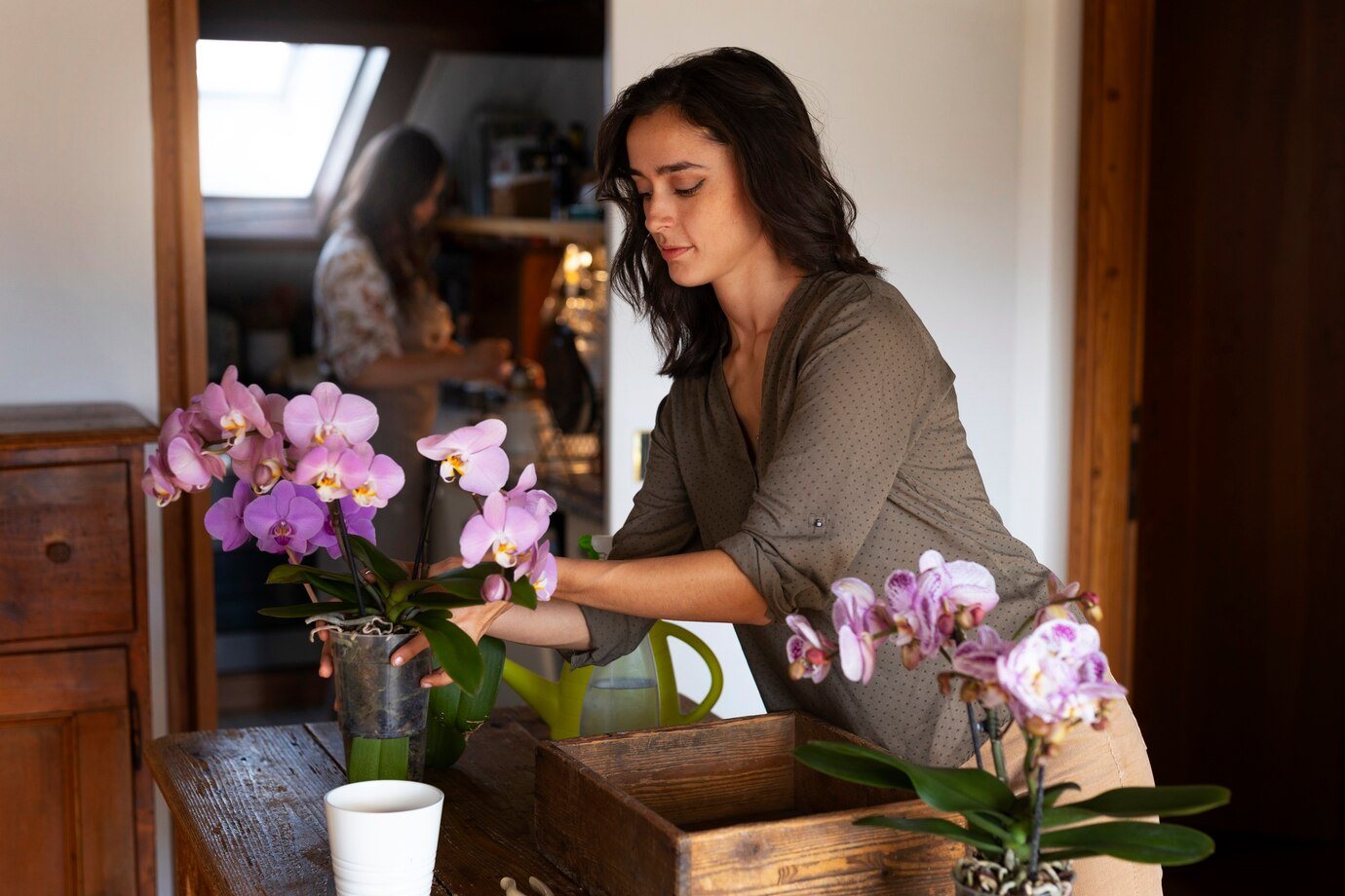 5 Dicas Fundamentais para Não Deixar Sua Orquídea Morrer