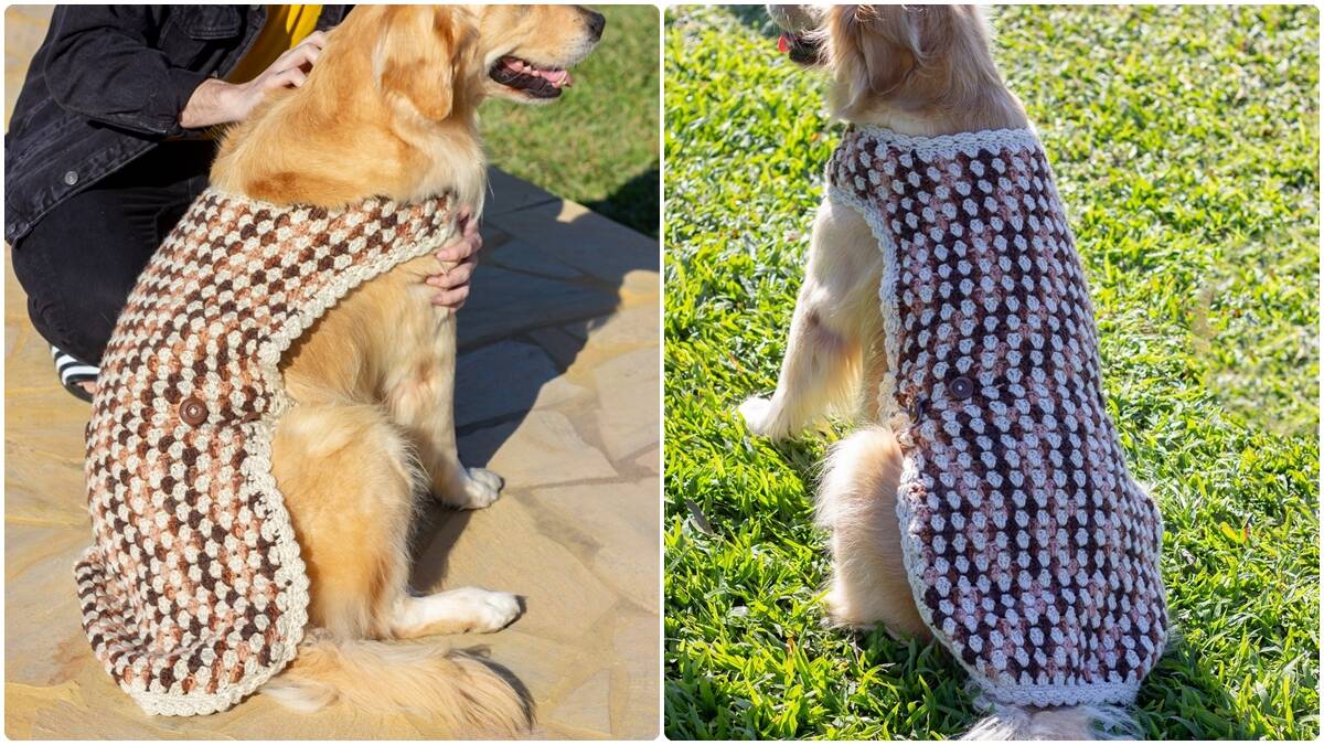 Suéter de Crochê para Cachorros Benicio: Arte Fofa para Eles!