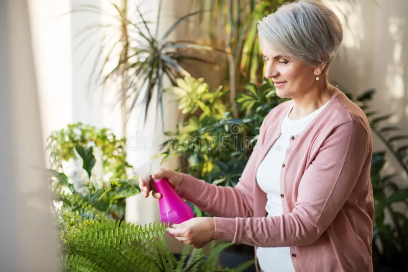 Adubo Líquido: Guia Completo de  Como Fazer e Aplicar para suas Plantas