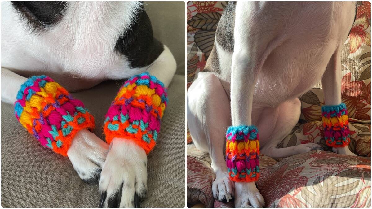 Polaina de Crochê para Pets: Fofura e Charme para Eles!