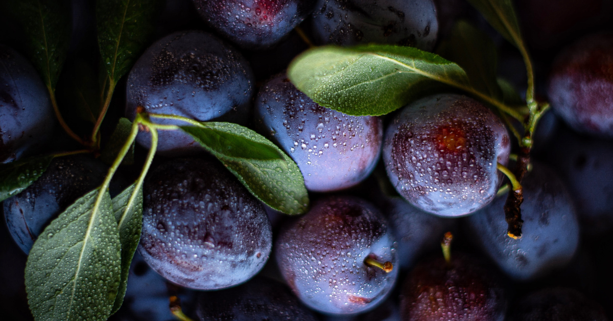 Aprenda Como Plantar Ameixas e Colher essas Frutas Deliciosas na sua Casa
