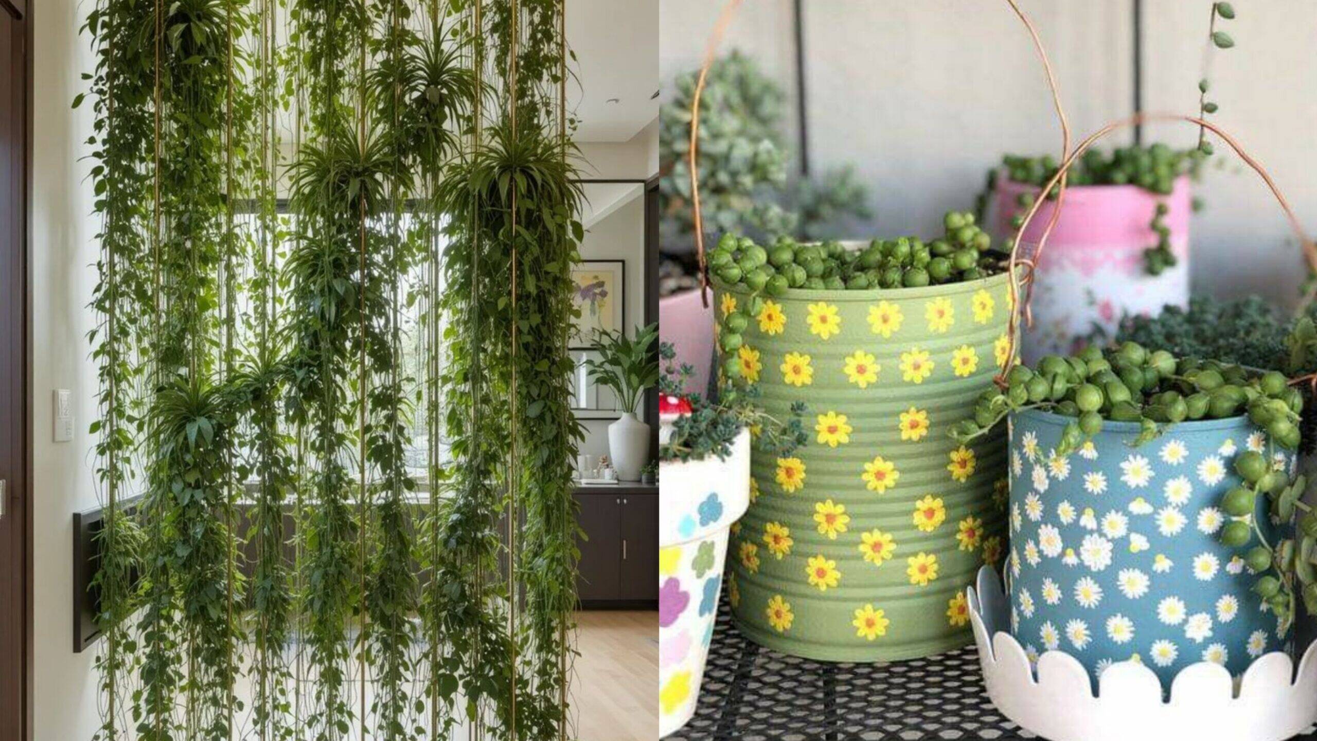 Casa Verde: Ideias Sustentáveis para Decorar com Plantas