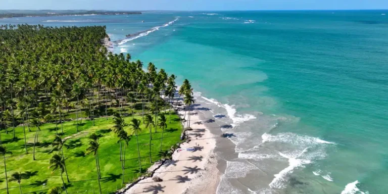 Encantos do Nordeste: As praias mais incríveis para conhecer no Brasil