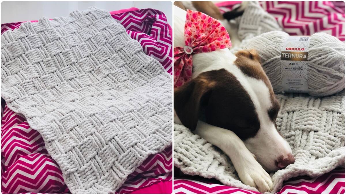 Manta de Crochê para Pets: Conforto para Eles no Inverno!