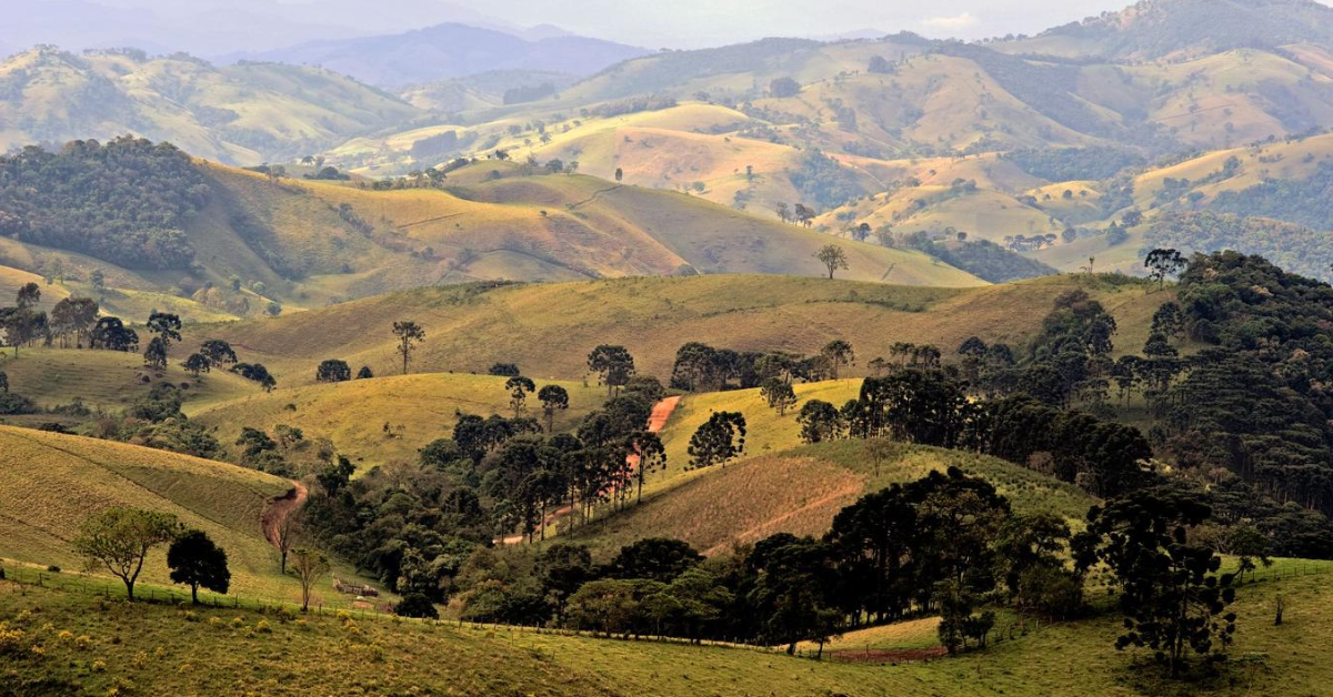 As 7 cidades mais aconchegantes para visitar em Minas Gerais no mês de julho