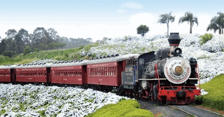 É comum na Europa, mas dá pra fazer pelo Brasil! Conheça 3 passeios de Trem pelo país que vale a pena a experiencia! — Na imagem: Trem do Vinho (Bento Gonçalves a Carlos Barbosa – RS) — Foto/Reprodução: mariafumacaemgramado