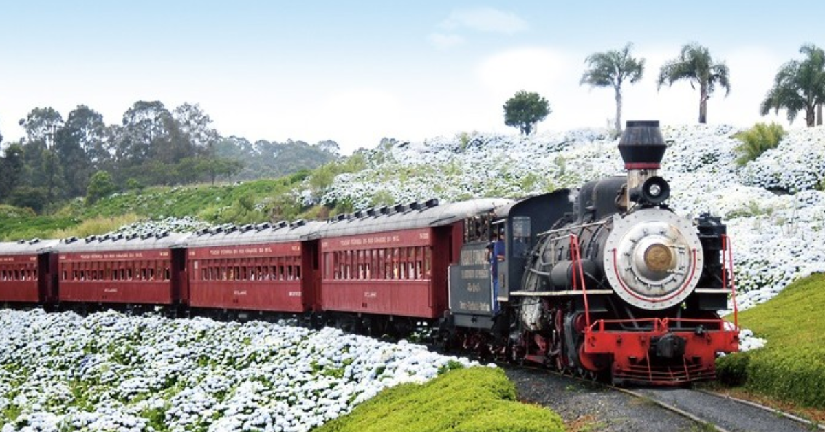 Conheça 3 passeios de Trem pelo país que vale a pena a experiencia!