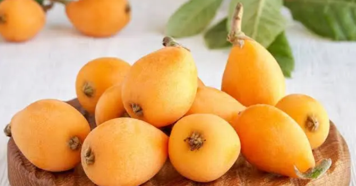 Nêspera, também chamada de Ameixa-amarela, uma Fruta Asiática Rica em Antioxidantes que Protege o Fígado e Combate Inflamações