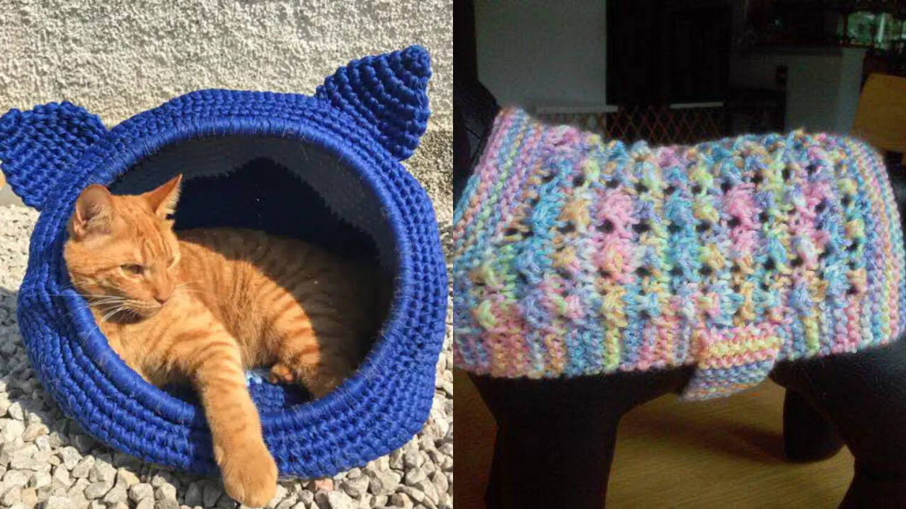 Crochê pet: veja acessórios fofos para cães e gatos pequenos!