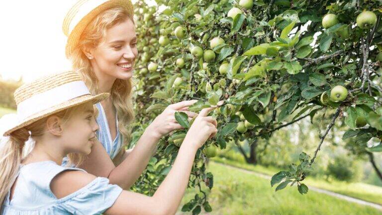 Criança e tutora estudando árvore no jardim