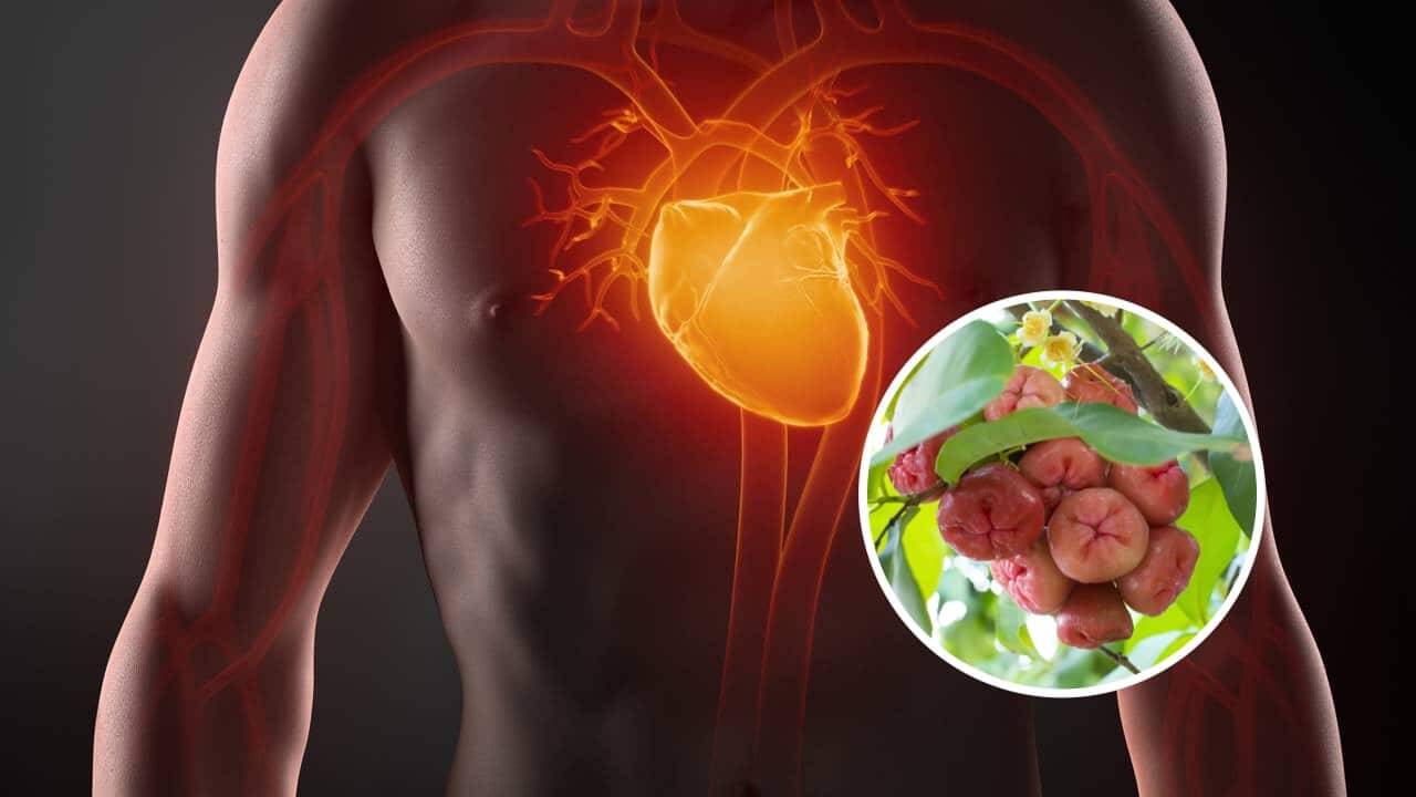 Superfruta que previne infarto, controla a pressão e cresce fácil até em São Paulo