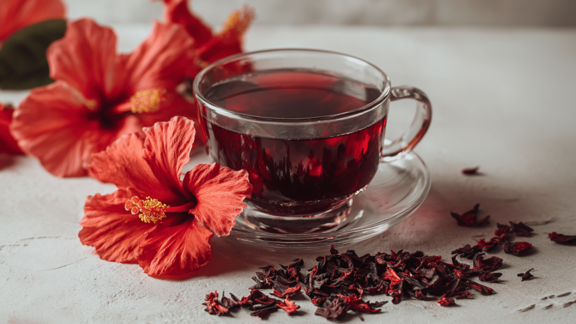Por que o Chá de Hibisco ta tão popular? Entenda seus benefícios e uso correto