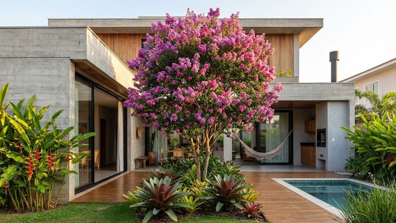 Saiba qual é a planta que deixa seu jardim lindo ao florescer por 120 dias no ano