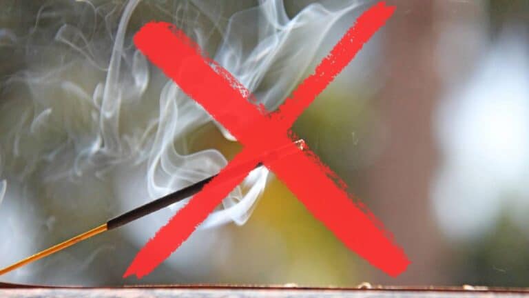 Adeus aos incensos para perfumar a casa com nova opção disponível