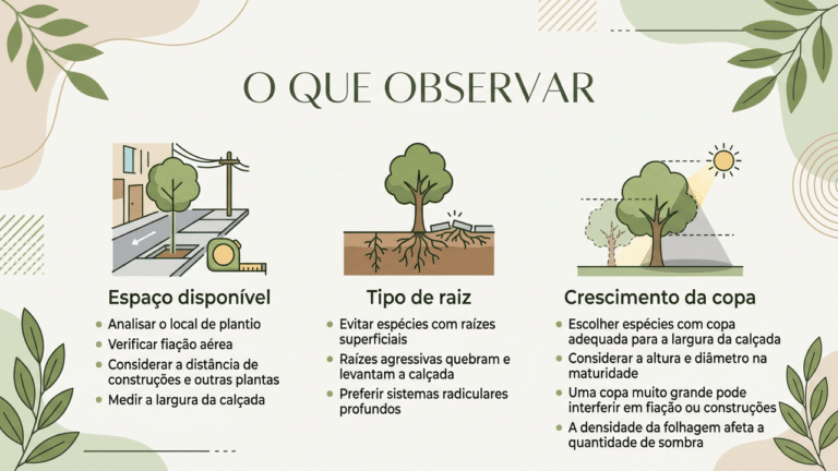infográfico educativo