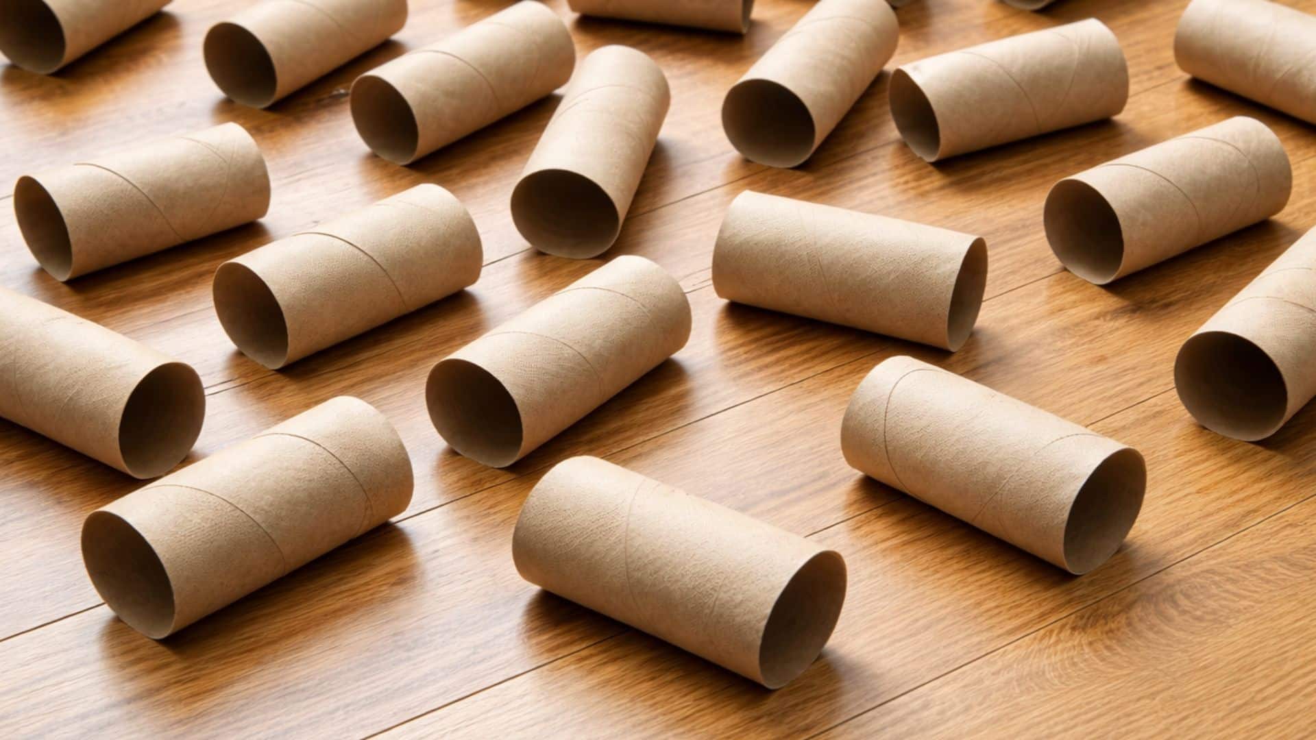 Rolos de papel higiênico vazios e são a nova utilidade para jardins de forma econômica