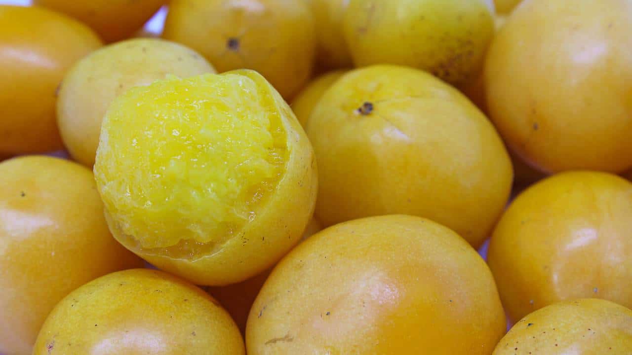 Pouca gente conhece, mas essa fruta tropical é aliada do intestino e cresce fácil no quintal