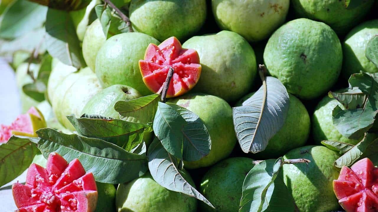 A fruta brasileira considerada uma das mais completas do mundo fica famosa por turbinar a imunidade