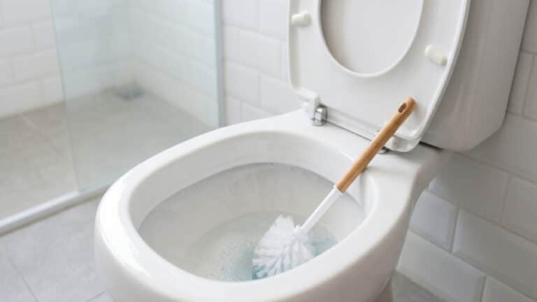 Vaso sanitário com escova de limpeza