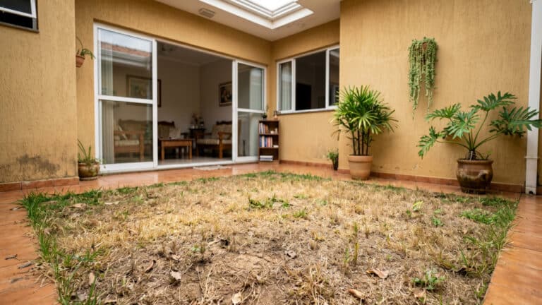 Gramado em interior de casa com o centro quase por inteiro seco e morto