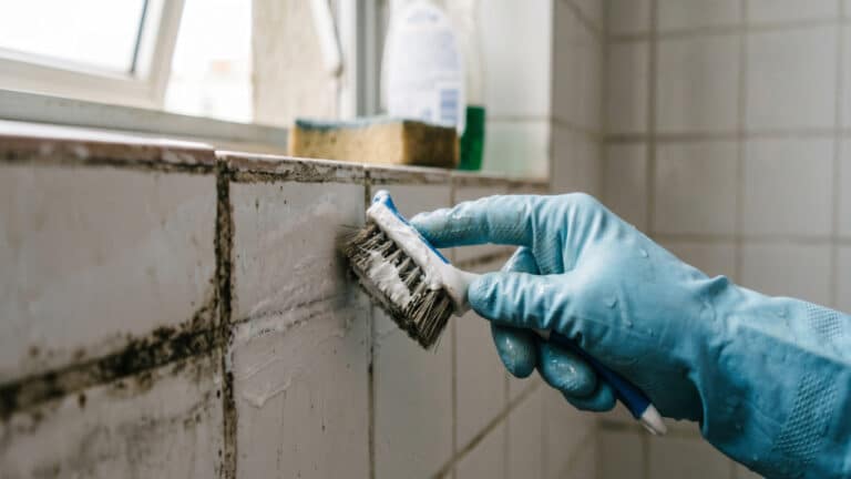 Pessoa escovando por dentro do box com mistura de bicarbonato e água oxigenada