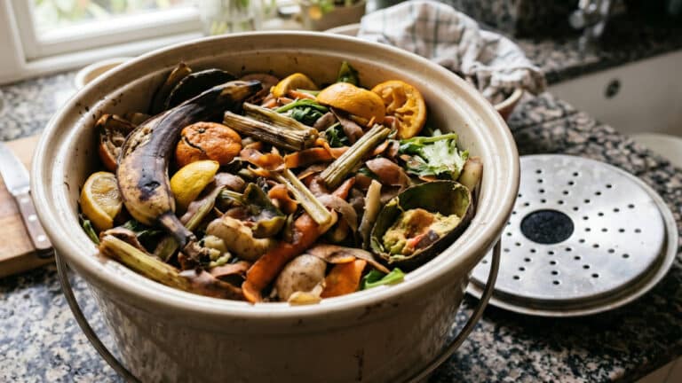 Restos de comida para fazer fertilizante natural para plantas caseiro